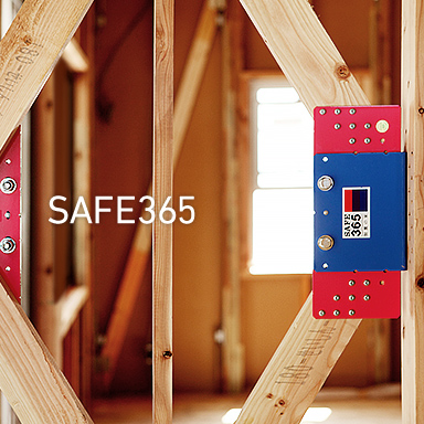 SAFE365